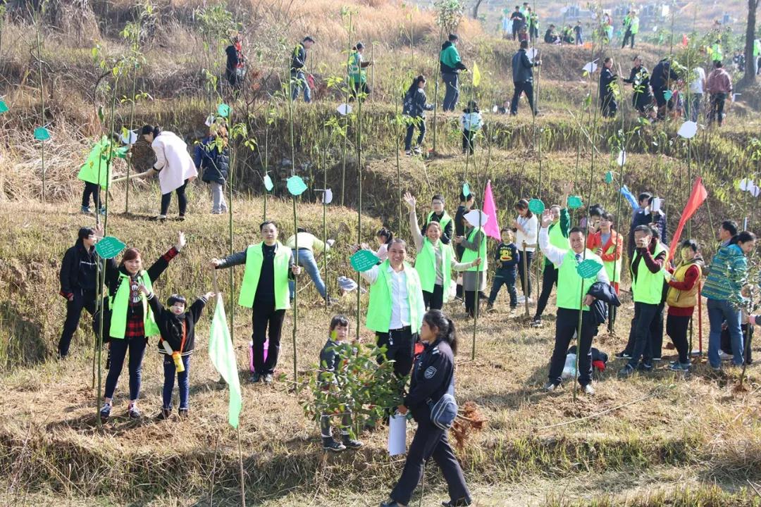 天嬌集團(tuán)開展義務(wù)植樹活動