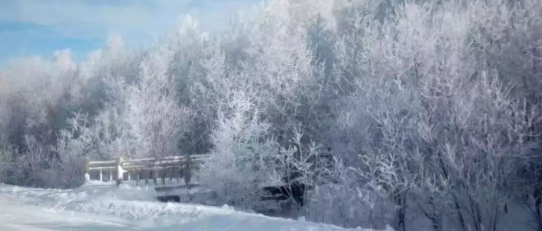 奕行記|奕路向北，駛向雪國(guó)阿爾山